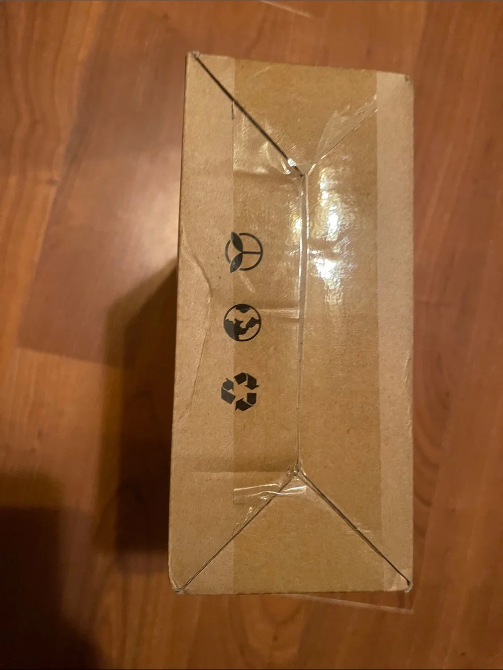 Vacbird Vacuum Storage Bags with vacuum (10 Pack)